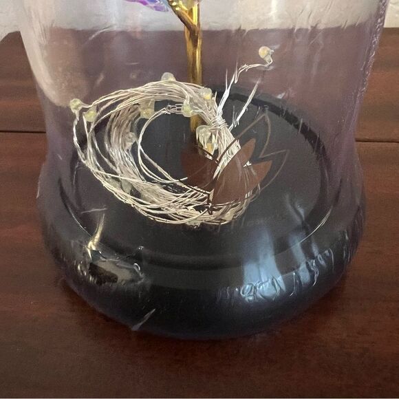 Dream of Flowers Lighted Rose in Glass Dome with Faux Wooden Base. New!! - Picture 9 of 11